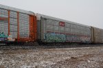 TTGX 706545